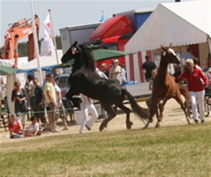 Frieser Teakjen B - SOLGT - Der var lige et par flag der blafrede ret voldsom, -meget farligt.... billede 14