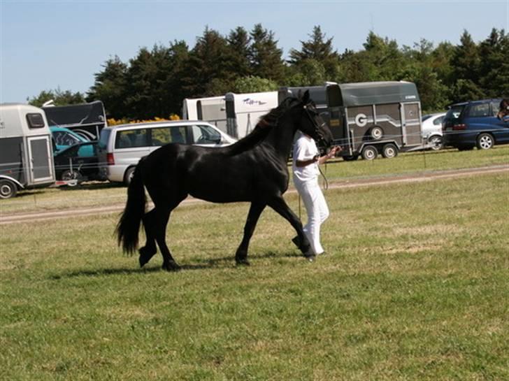 Frieser Teakjen B - SOLGT billede 16