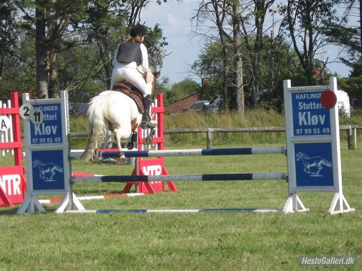 Pinto Bounty  - Når enden er god er alting godt xD  billede 19