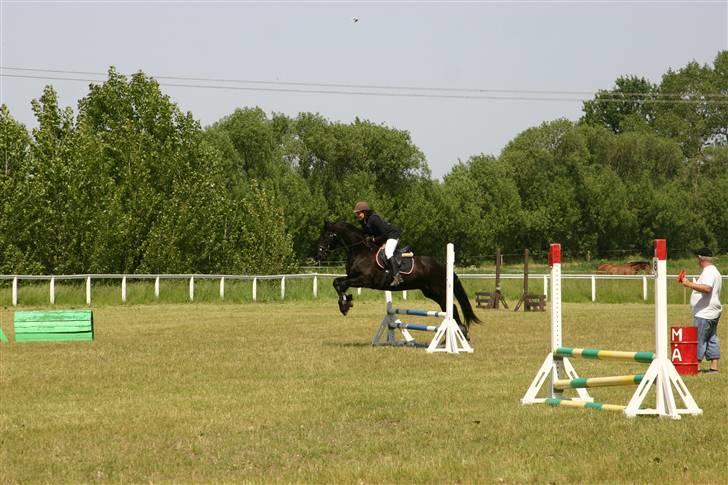 Frieser Dexter af Bjørnskov billede 11