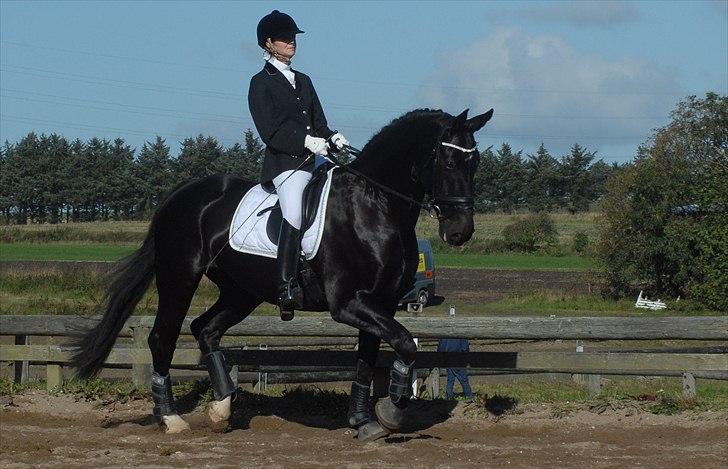 Oldenborg Østrupgård Primus - Stævne thyholm 2010 billede 5