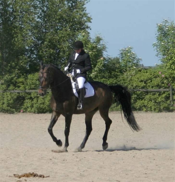 Oldenborg schousboes rasmus  billede 14