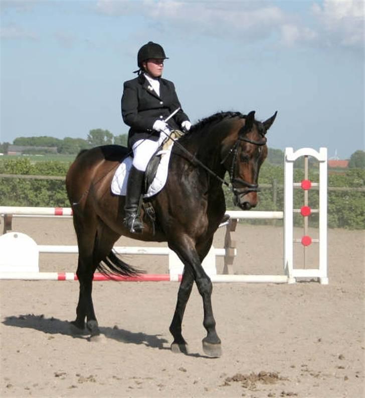 Oldenborg schousboes rasmus  billede 15