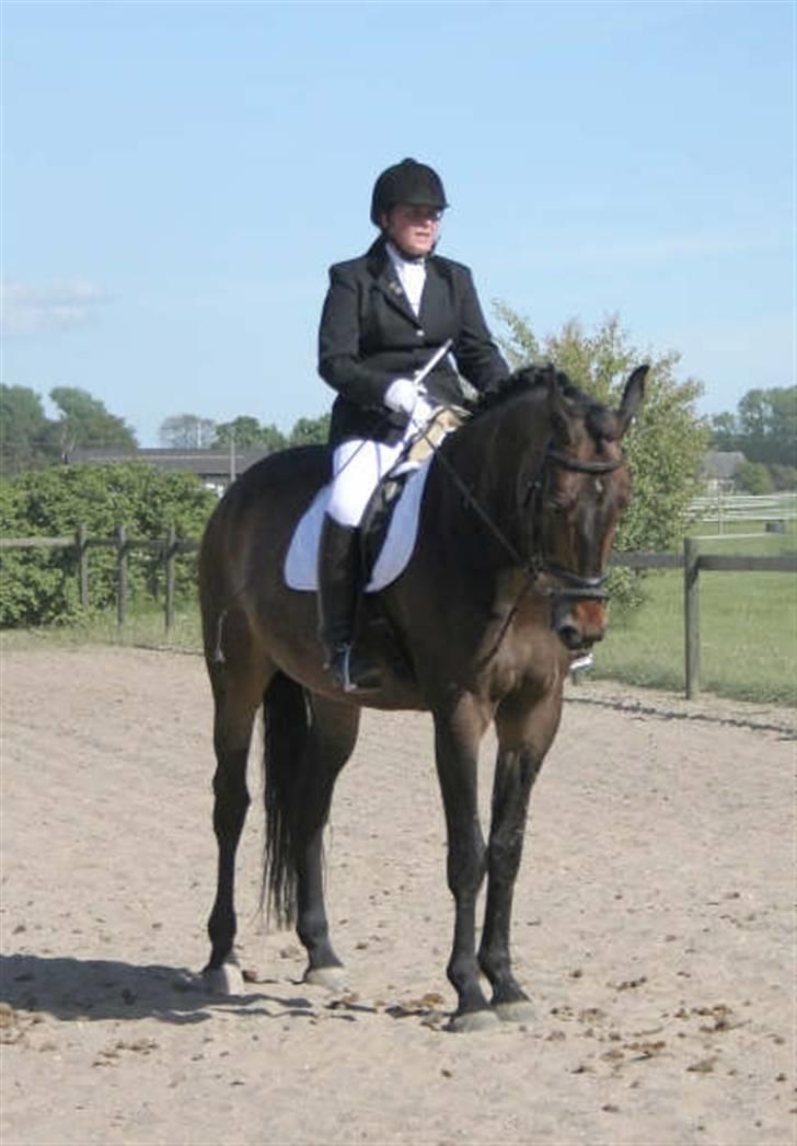 Oldenborg schousboes rasmus  billede 16