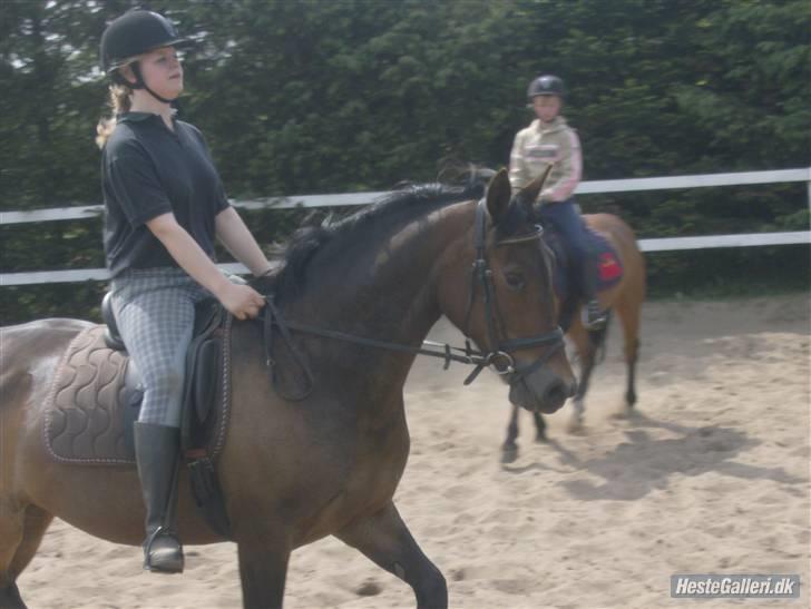 Oldenborg Cirkeline *Solgt* billede 14