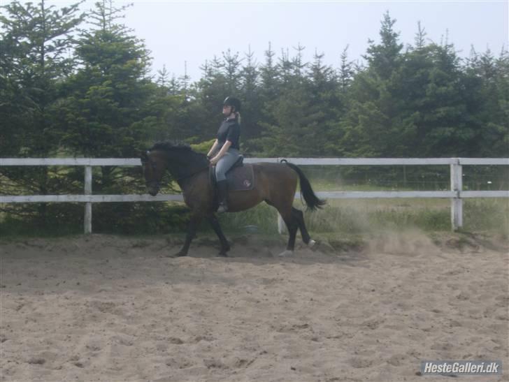 Oldenborg Cirkeline *Solgt* billede 15