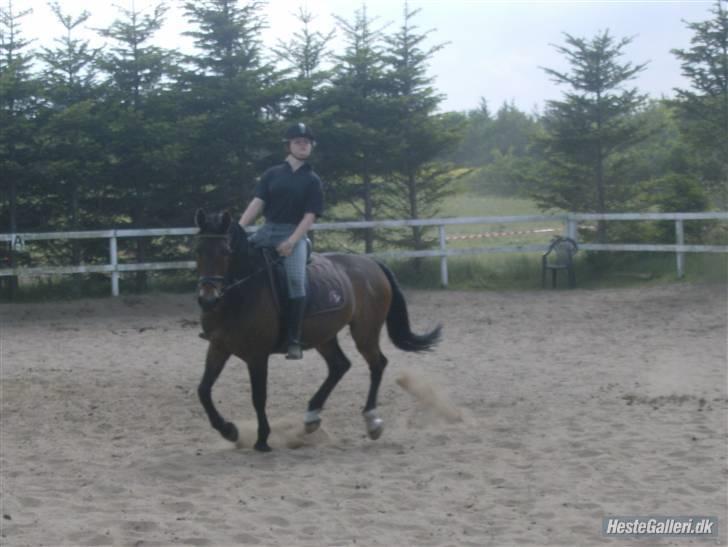 Oldenborg Cirkeline *Solgt* - ej! et lidt sjovt billed!! billede 16