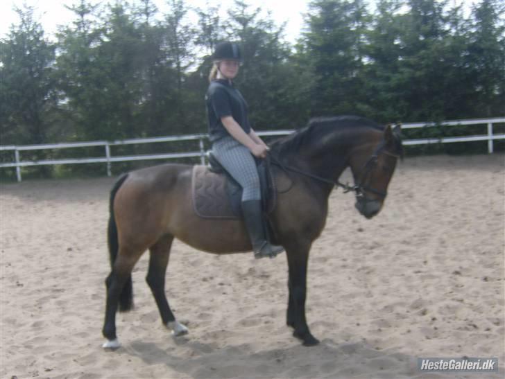 Oldenborg Cirkeline *Solgt* billede 17