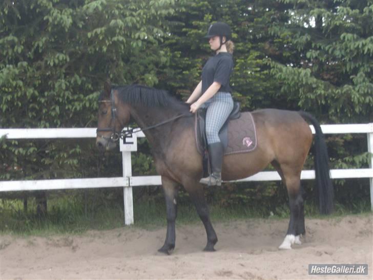 Oldenborg Cirkeline *Solgt* billede 18