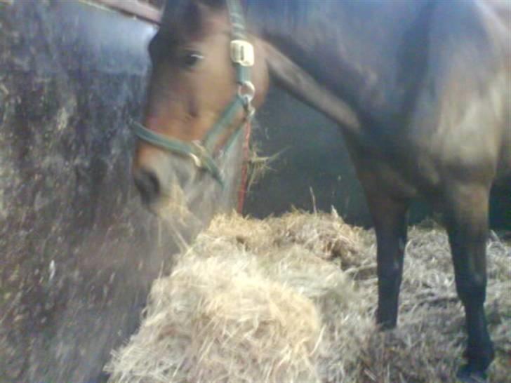 Oldenborg Cirkeline *Solgt* billede 20