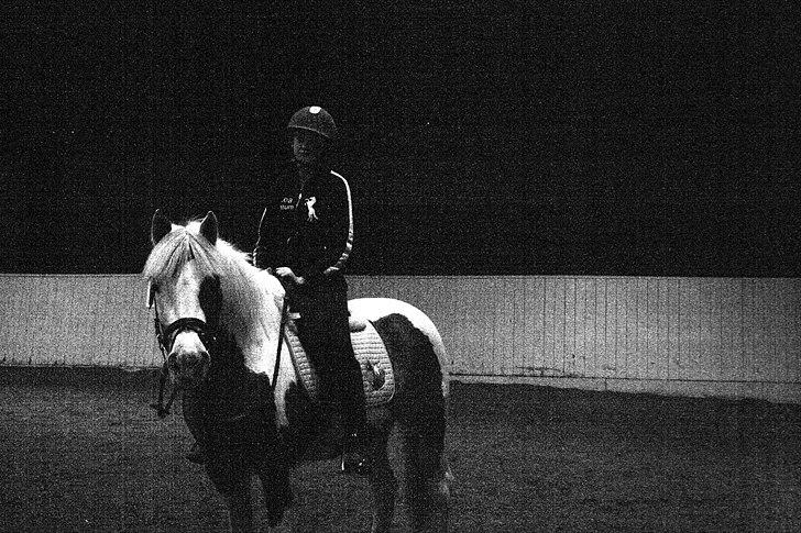 Pinto Flicka - »Faktisk føste dag på LYKK (-: billede 7