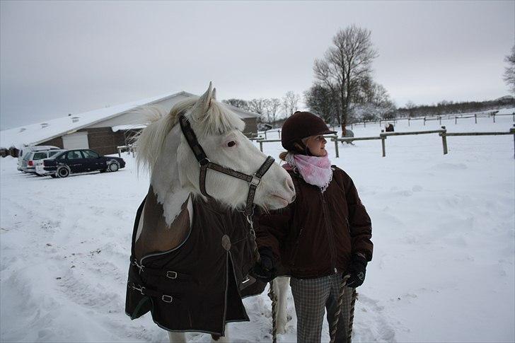 Pinto Flicka - »Vinter 2010 :-* <3 billede 9