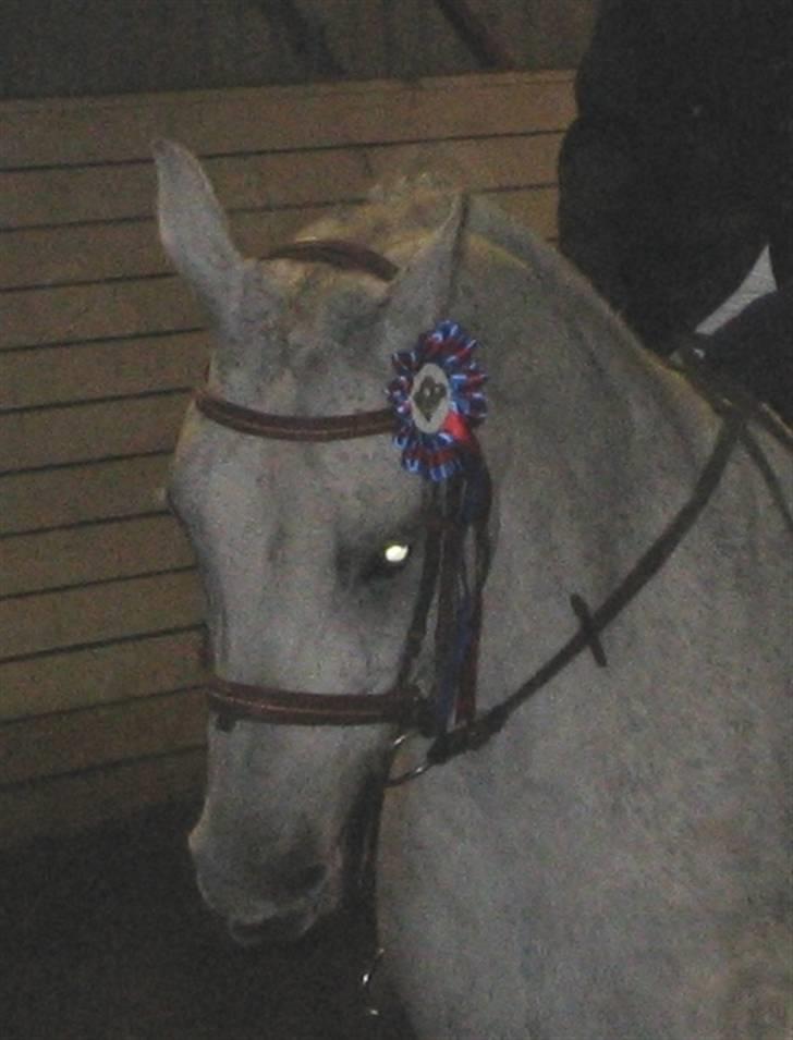 Anden særlig race Dos  - Os til stævne´<3 2 plads 2006 billede 18