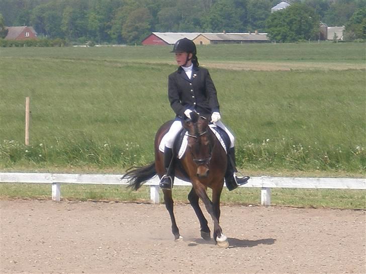 Anden særlig race Tamara *solgt* billede 5