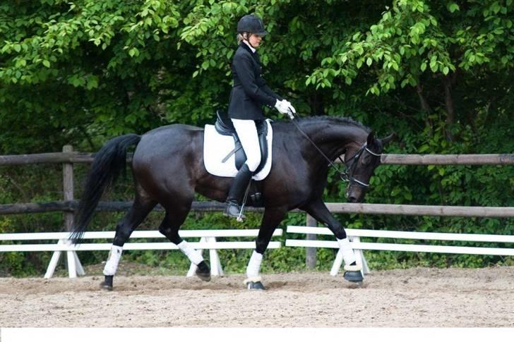 Anden særlig race Mrs. Coco † R.I.P SAVNET  - Min stjerne - savnet blir større & større..  billede 9