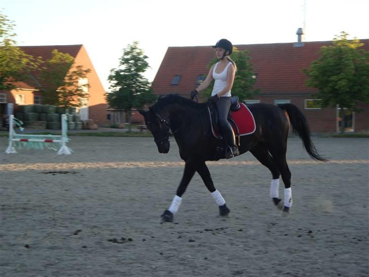 Anden særlig race Mrs. Coco † R.I.P SAVNET  - Vi ses igen skat - det lover jeg <3 billede 12