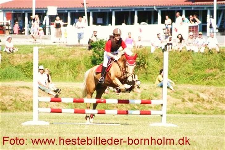 Palomino Bornhorse Pelle - Bornhorse stafet show 2009 billede 8