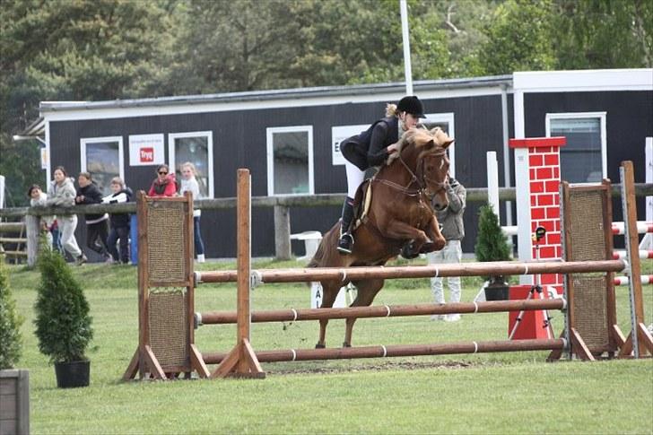 Anden særlig race Red ocean . SOLGT - 1 velkommen din bassens profil (: (fra kallehavegård | foto: alberte bidstrup) billede 1