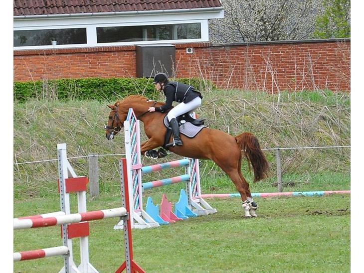 {{currentPhoto.altText}} billede {{currentPhoto.number}}