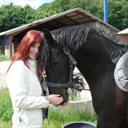 Anden særlig race Nilco