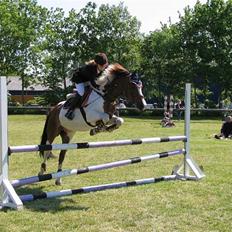 Anden særlig race Prins Engholm