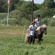 Islænder Silfra fra Mygid