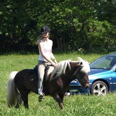 Islænder Silfra fra Mygid