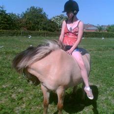 Anden særlig race Zimba / Rex