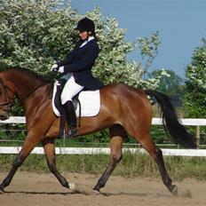 Anden særlig race Coco Chanel