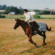 Anden særlig race Coco Chanel