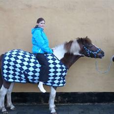 Anden særlig race Nordens Tequila Sunraise