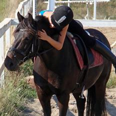 Anden særlig race Stella - tidligere hest.
