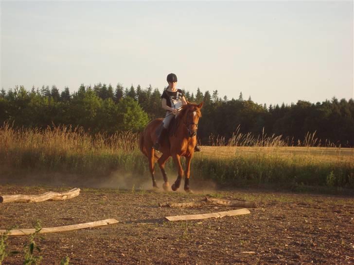 Anden særlig race Freja<33 - Freja :] billede 15