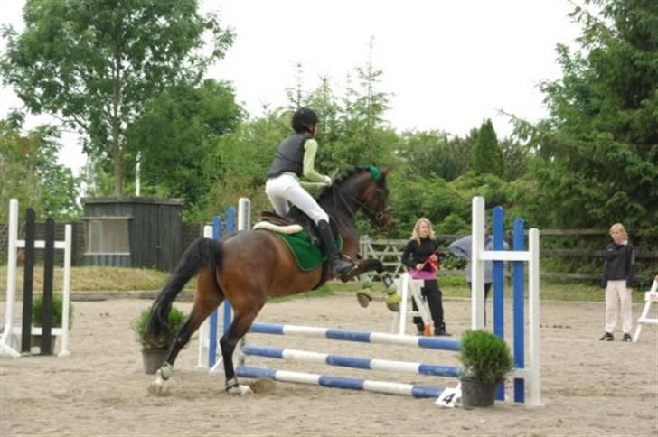 Tysk Sportspony Nephew - Neffes 1. springsævne, det klarede han super<3 Tak fordi I tog med tøser! billede 12