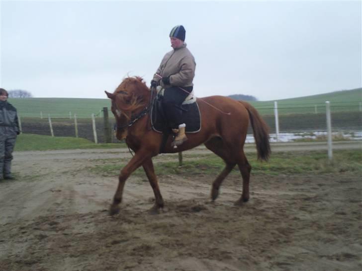 Anden særlig race Freja<33 - (: billede 17