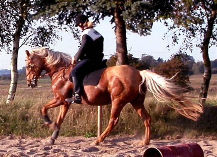 Anden særlig race Cabosa<3 Solgt <3 :) - Cabosa og mig for mange år siden :o billede 9