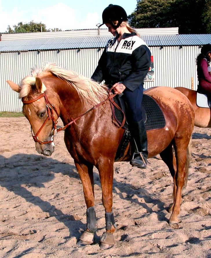 Anden særlig race Cabosa<3 Solgt <3 :) - Cabosa og mig for mange år siden :o Tror jeg var 11 der . (: billede 10