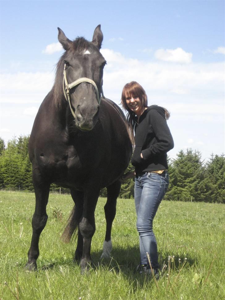 Oldenborg ¤Sweety¤Rider ikke mere¤ - Uhr, det godt med noget rigtigt sommer kløning <3, kan næsten ikke nå under den runde mave, hihi :) maj 08 - (Gravid) billede 18