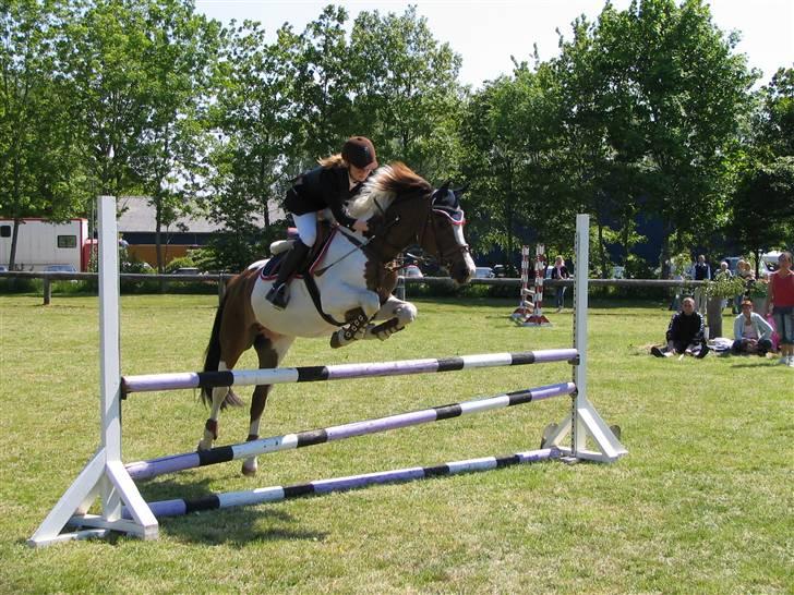 Anden særlig race Prins Engholm billede 7