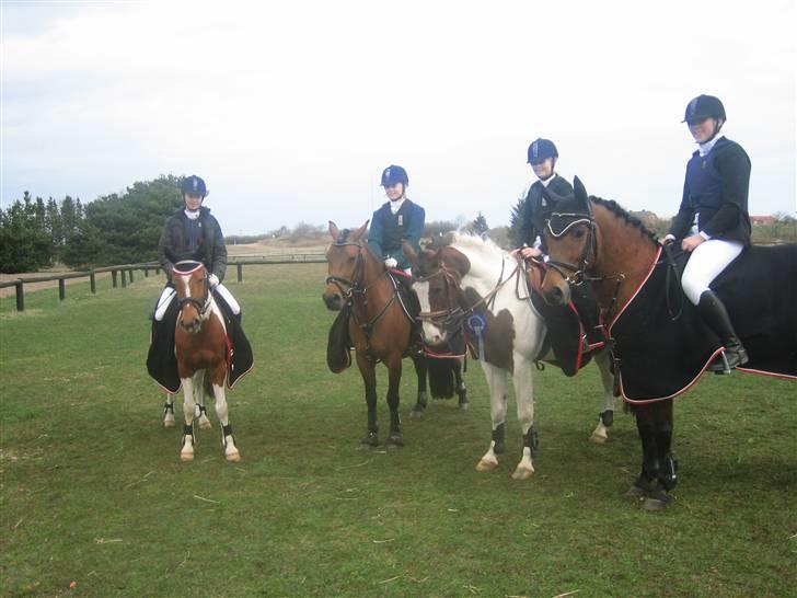 Anden særlig race Prins Engholm - pigerne og mig i holstebro(: billede 8