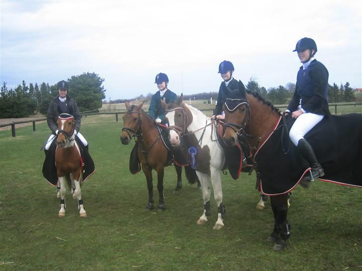 Anden særlig race Prins Engholm - holstebro, pigerne og mig. billede 9