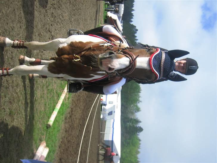 Anden særlig race Prins Engholm - prins og mig, mors billede 10