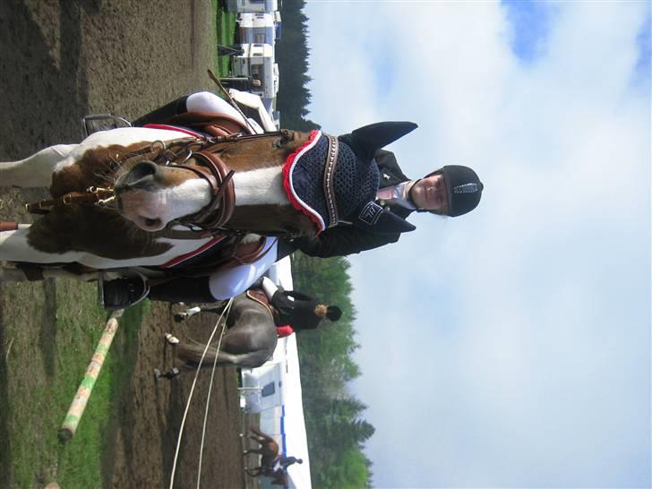 Anden særlig race Prins Engholm - morsø prins og mig(: billede 11