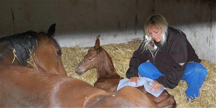 Anden særlig race Sweet Marquis r.i.p? - Farmor tørrer mig lige for min moar er træt :-) billede 8