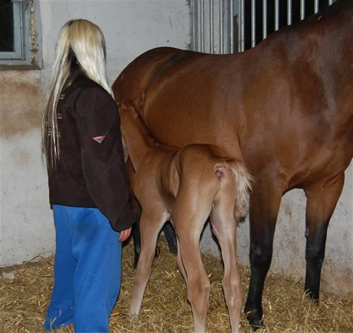 Anden særlig race Sweet Marquis r.i.p? - Farmor hjælpe mig lige med at finde vej til patten :-) billede 9