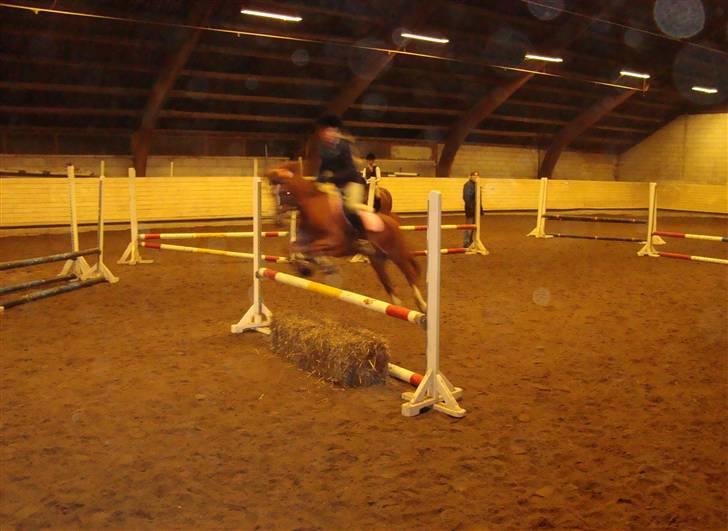 Anden særlig race Lighter <3 - 13#*NYT* den. 20/01/09 første gang efter hun havde haft kolik, og vi havde ikke srunget i 1 og en halv måned!! :D dog, styrtede vi.. s; men hun var rigtig sød og frisk!! :D<3 elsker dig, Lili!!! <3<3 billede 13