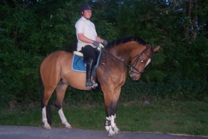 Holstener Quincy billede 4