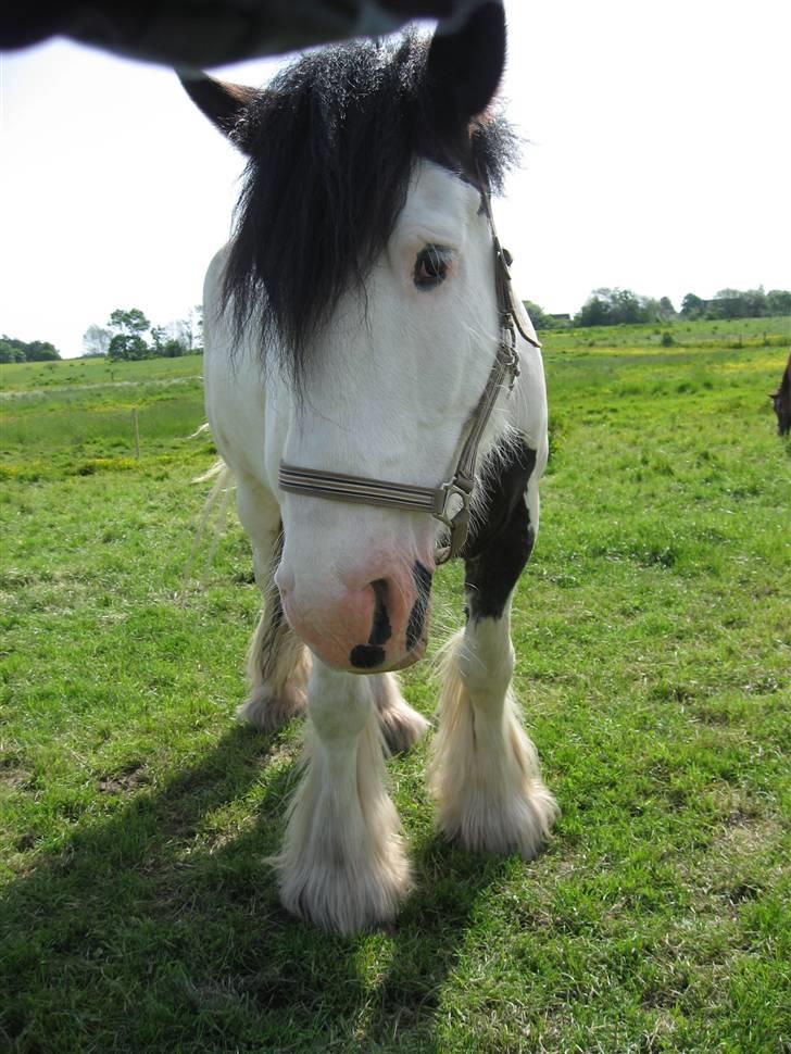 Tinker *Sofus* - Jeg savner alt ved dig! - selv det deprimerende øje  billede 8