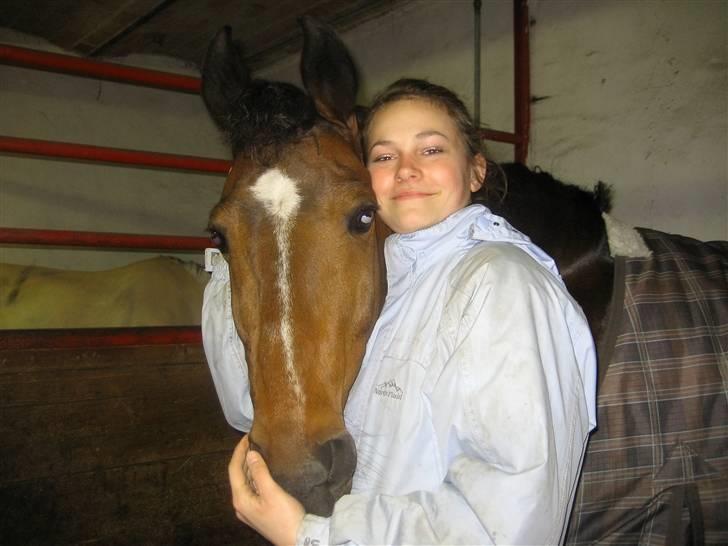 New Forest Hovvejens Juno - Mit et og alt :´) <33 billede 20