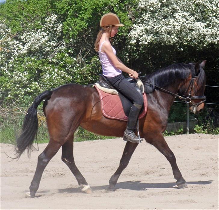 Anden særlig race Stella (solgt) - [1] Velkommen til Stella´ musen´s profil (: Håber i tager jer tid, til at skrive en kommetar, så bliver vi så glade 8) he he. Foto: Jus d. 5 juni ´10 billede 1